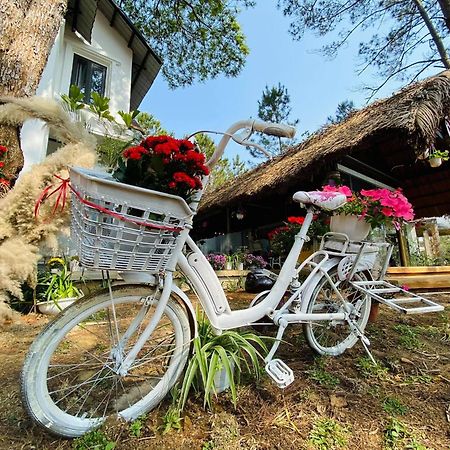 Vita Homestay Mang Den Kon Von Kla Екстериор снимка