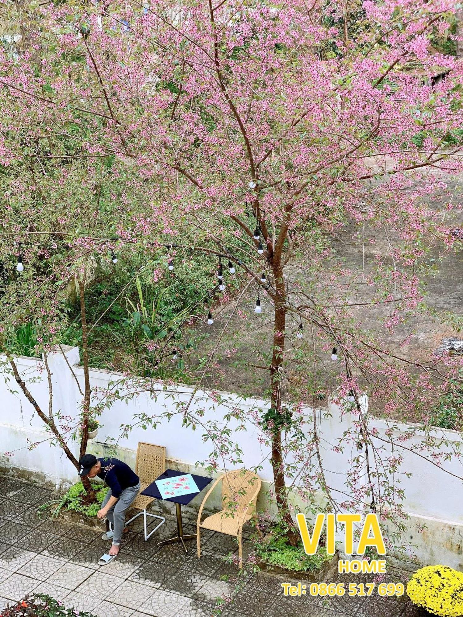 Vita Homestay Mang Den Kon Von Kla Екстериор снимка